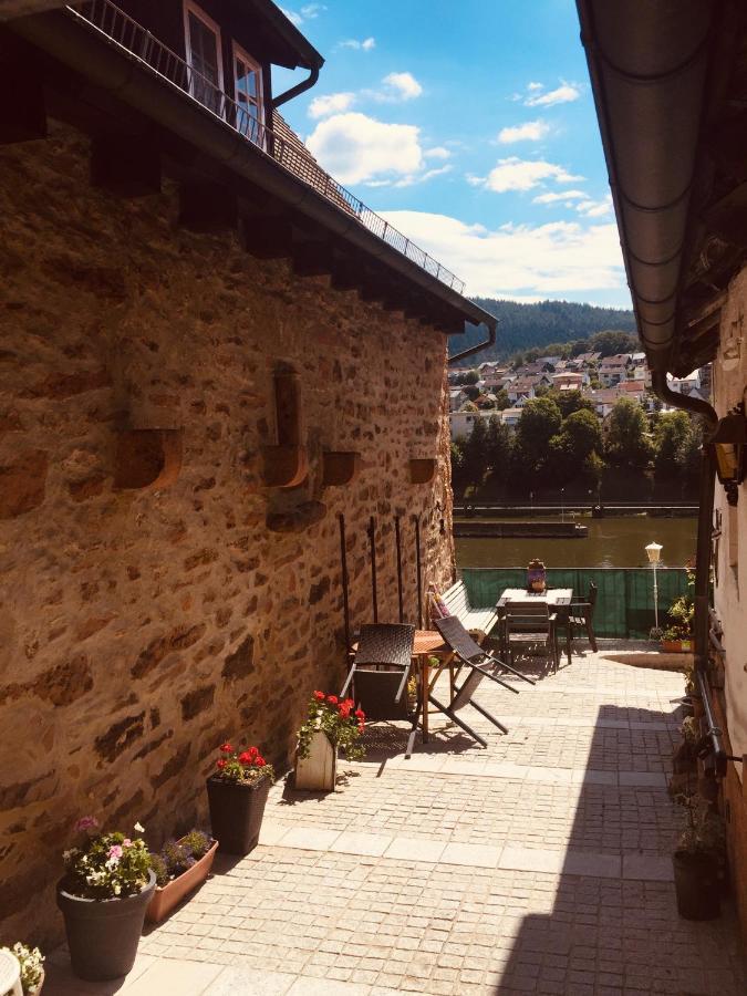 Neckarblick,Natur, Altstadt Hirschhorn Bagian luar foto