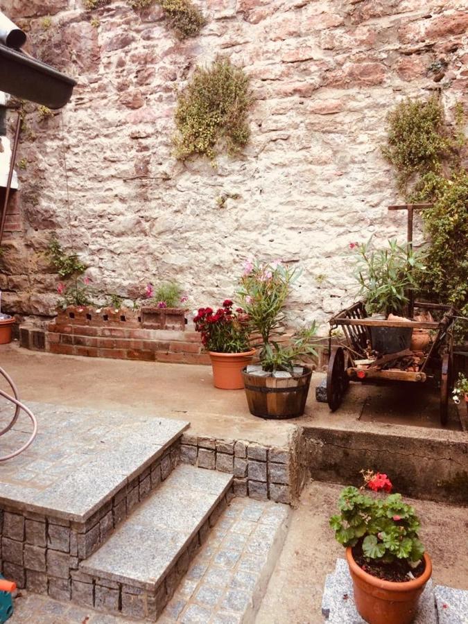Neckarblick,Natur, Altstadt Hirschhorn Bagian luar foto