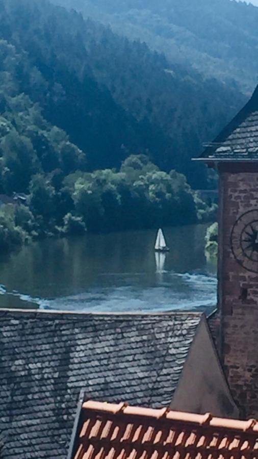 Neckarblick,Natur, Altstadt Hirschhorn Bagian luar foto