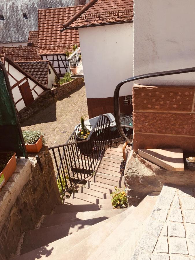 Neckarblick,Natur, Altstadt Hirschhorn Bagian luar foto