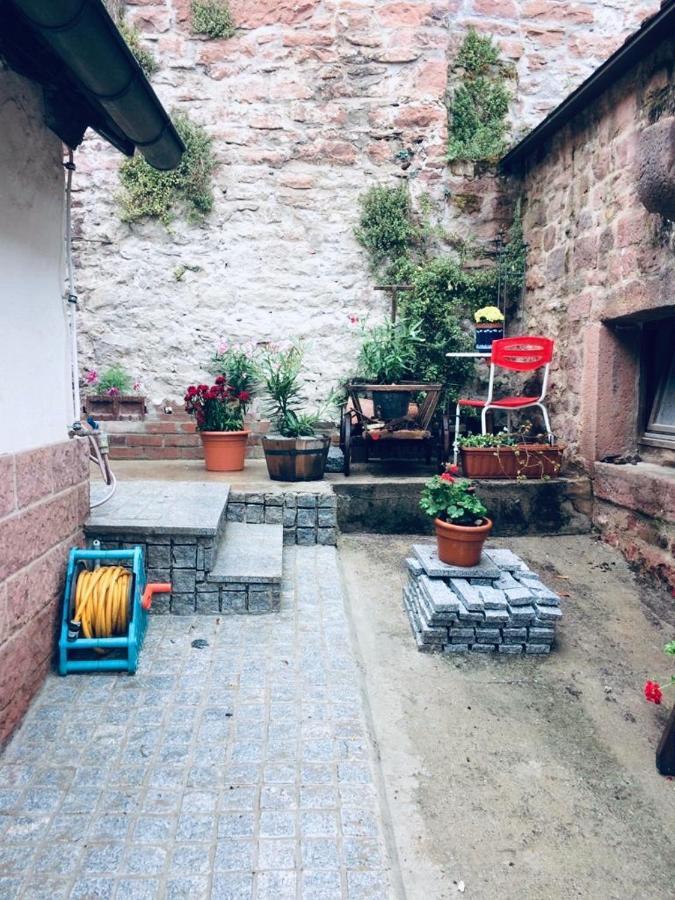 Neckarblick,Natur, Altstadt Hirschhorn Bagian luar foto