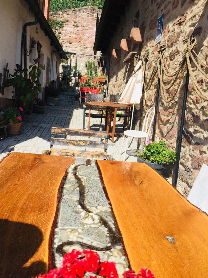 Neckarblick,Natur, Altstadt Hirschhorn Bagian luar foto