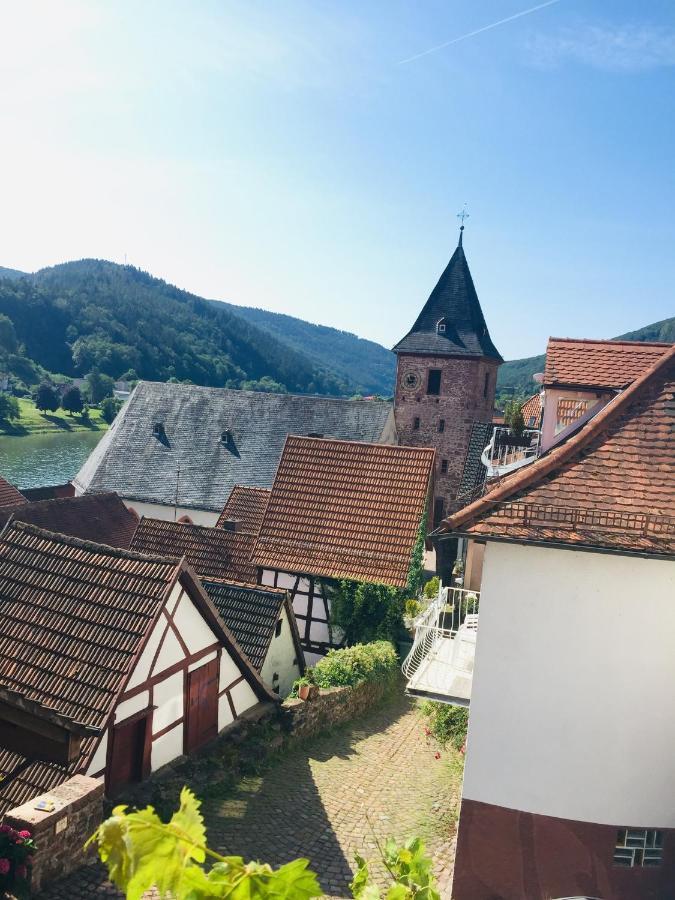 Neckarblick,Natur, Altstadt Hirschhorn Bagian luar foto