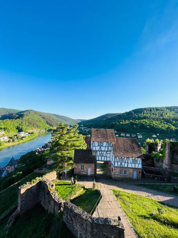 Neckarblick,Natur, Altstadt Hirschhorn Bagian luar foto