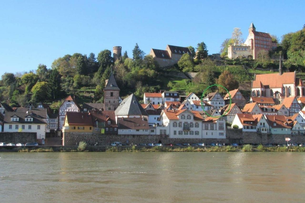 Neckarblick,Natur, Altstadt Hirschhorn Bagian luar foto