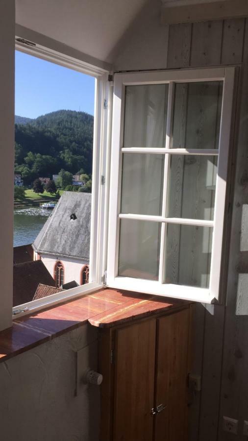 Neckarblick,Natur, Altstadt Hirschhorn Bagian luar foto