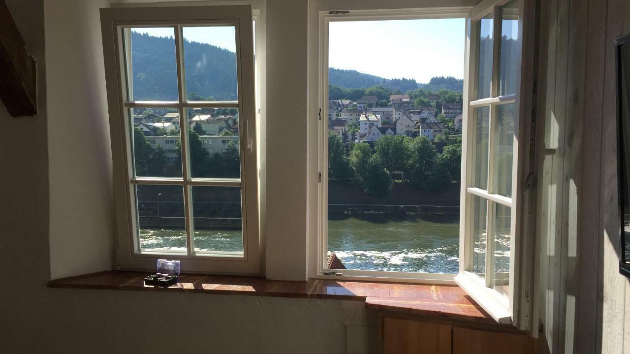 Neckarblick,Natur, Altstadt Hirschhorn Bagian luar foto